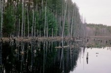 FL000006.JPG