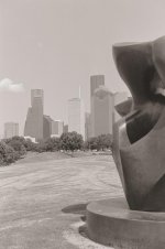 From the Park.jpg