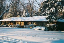 Konica I first roll-15_1.jpg