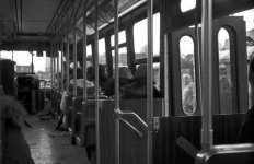 img110.jpg