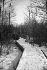 Winter Walkway.jpg