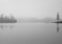 Lake Summergrove January 2011 rff 2.jpg