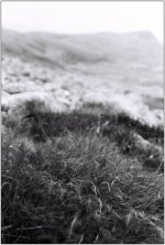 canonet1.jpg