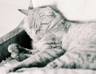 Otis crop and resize.jpg