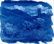 desertlandscape1.jpg