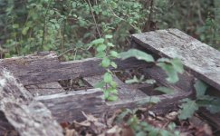 Lay Me Down A Palette On Your Floor.jpg