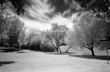 Image0006b.jpg
