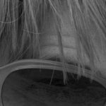 cs9000_crop.jpg