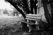 Bench Near Williston.jpg