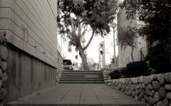 stairs.jpg