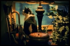 Window of Interest.jpg