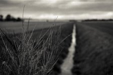 drainage ditch bokeh.jpg
