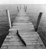 distagon 2 (Large).jpg