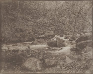 Print-1225.jpg