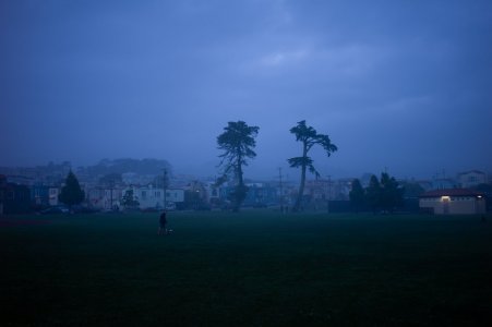 L1004782.jpg