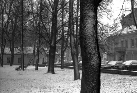 Tubus50mm003.jpg