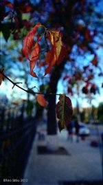 2- B02_filtered_hf_hf res_hf.jpg