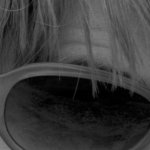 e4870_crop.jpg