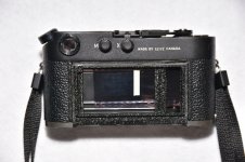 M4-P_001a.JPG