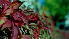 Image b01_1_filtered_1_hf_hf.jpg