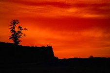 Dawn at Construction Site rff.jpg