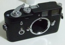 DSCF1534.jpg
