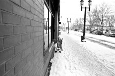 where's the baby.jpg