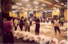 tokyo fish-market_2.jpg