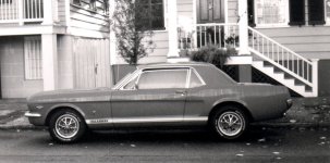 mustang.jpg