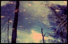 Oh Inverted World.jpg