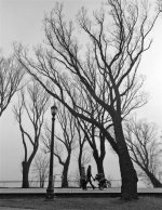 distagon 3 (Large).jpg