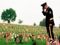 Salute to a fallen Comrade.jpg