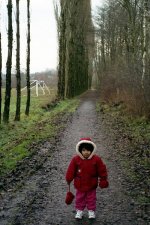 img0082.jpg