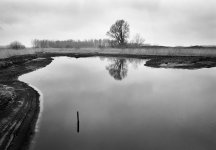 XP2-Sunday-Walk-09-X1.jpg