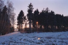 AGFA_200_WINTER_LANSCAPE_BELGIUM_R8_35MM_ELMARIT_FILM_ANALOG_JIPVANKUIJK.jpg