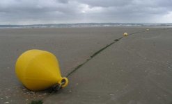 Bou_e-jaune.jpg