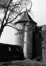 zsi_Foma 400_010a_s.jpg