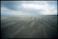 Sensia_018.jpg