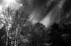 Scan-101121-0005.jpg