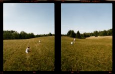 Land10-BlueberryPicking.jpg