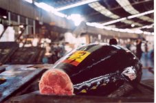 tokyo fish-market_19.jpg