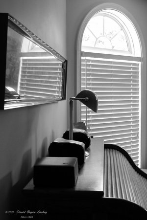 Desk Lamp by Nikon 995 BW 2023.jpeg