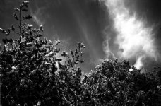 Scan-101121-0019.jpg