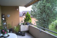P0000078.jpg