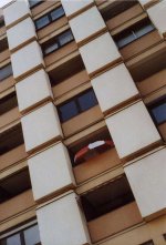 img8.jpg