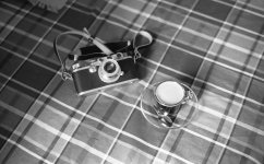 Leica III Elmar Red scale 2.jpg