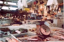 tokyo fish-market_8.jpg