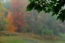 Sept_06 073A_1.jpg