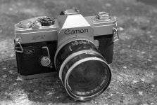 FE2 Mic-x Tri-x 400320689 8 s.jpg