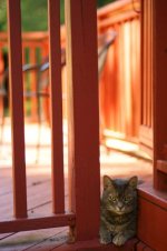 patio.JPG